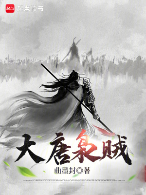 大唐匪王