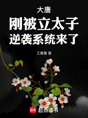 大唐开局被迫当太子