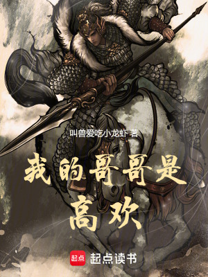 我的哥哥是高欢防盗