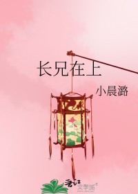 长兄在上免费全集