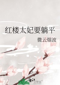 穿越红楼大太太
