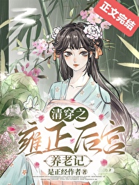 清穿之雍正皇后