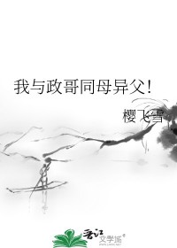 我与政治作文