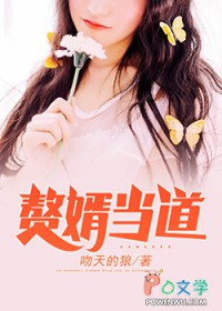 赘婿当道免费阅读