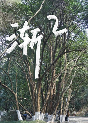 渐渐的忘记赶不上明天是什么歌