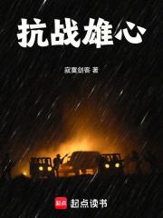 抗战雄心TXT