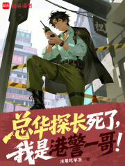 香港的总华探长