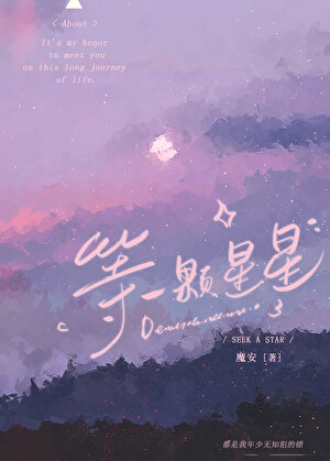 等一颗星星磨安