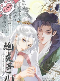 入赘炮灰哥儿后 作者云柳迢迢