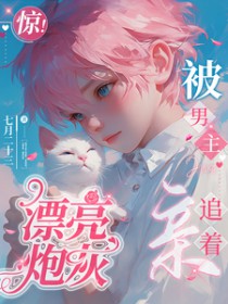 漂亮炮灰男主是谁