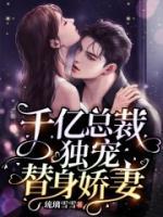 苏浅汐傅司琛