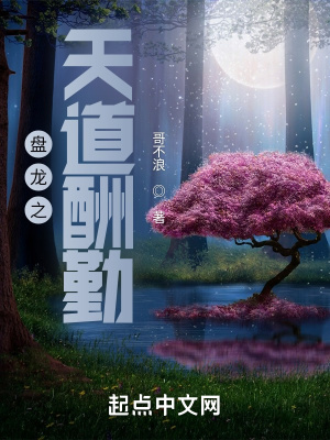 盘龙天道酬勤