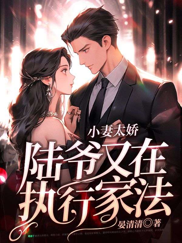陆爷的小娇夫甜又撩