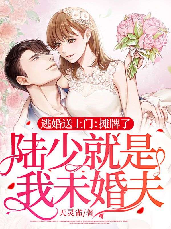 陆少宠妻请低调