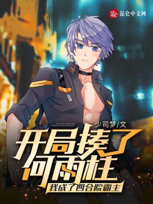 四合院开局我娶了何雨水