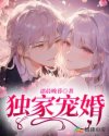 独家宠婚腹黑老公宠妻成瘾副CP