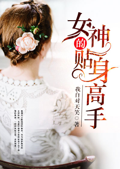 女神的贴身高手简介