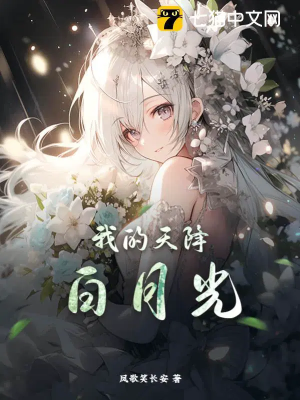 我的天降之物