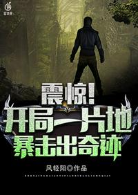 开局一地暴击出奇迹TXT