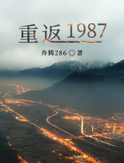重返1987 奔腾286