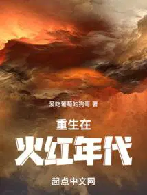 重生在火红年代的厨子