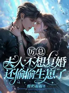 夫人不想复婚还偷偷生崽了zip