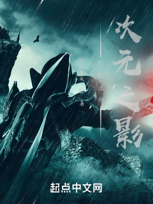 全职法师次元之影乐阅读