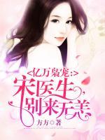 宋年夕陆续免费阅读全文