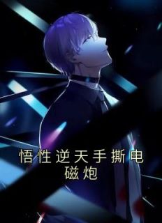 悟性逆天手搓电磁炮