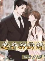 妻子的陷阱电视剧全集播放