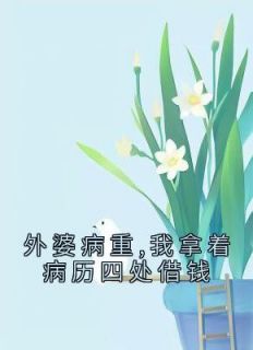 外婆生病给多少钱合适