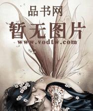 女总裁的贴身保安免费阅读