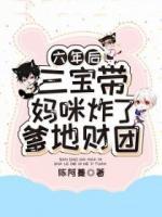 苏宁晚厉晋尧