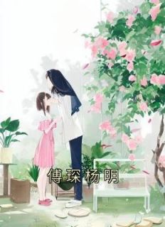 傅琛琛免费阅读