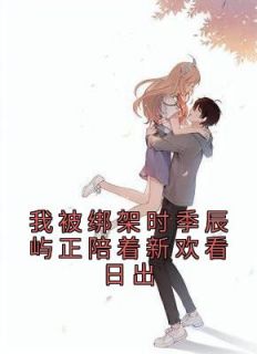 我被绑架了视频
