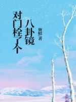 我家对门挂了一个八卦镜