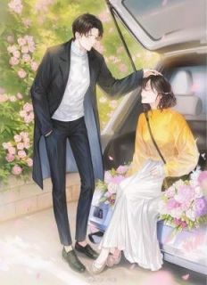 裴时瑾颜苏免费阅读