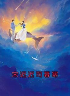 慕晚晚司慕寒