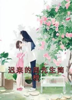 迟来的周先生简橙txt文档