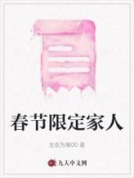 春节限定什么意思