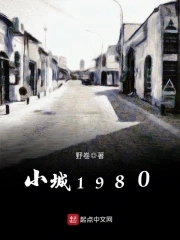 小城1980T TXT免费