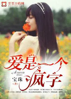 爱是一个疯字含义