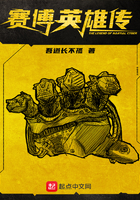 赛博英雄传 向山