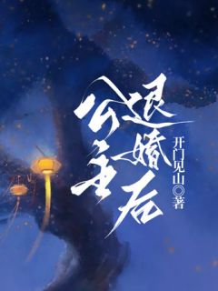 公主退婚后续
