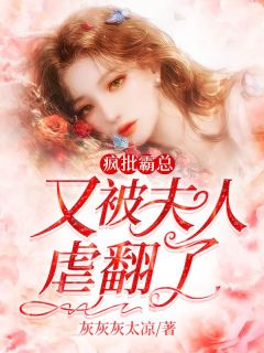 沈默苏婉瑜免费阅读笔趣