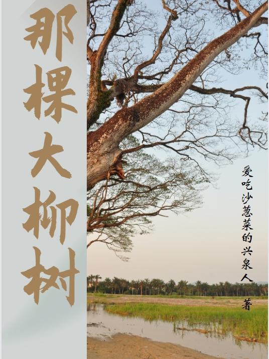 柳树大吗