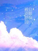 被资助的孩子在线阅读
