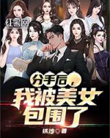 分手后我被美女包围了短剧
