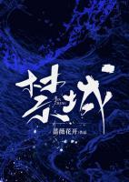 宠冠紫禁城