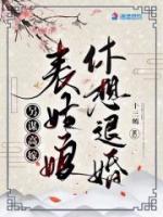 另谋高嫁表姑娘休想退婚简介
